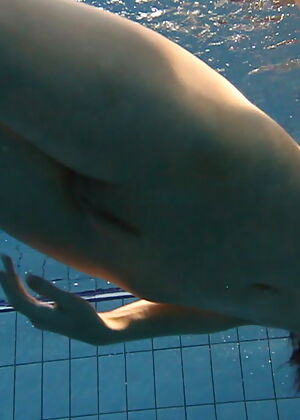 show puss shows 16 pics