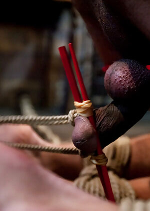 meat fresh bit 11 pics
