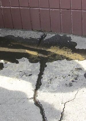 home chick time 16 pics