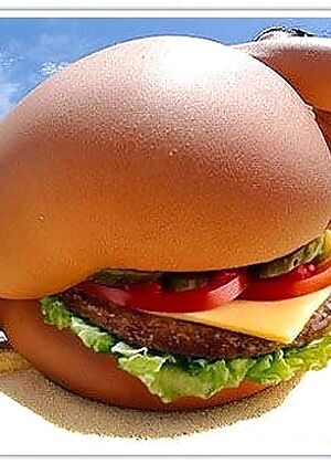 burger   1 pics