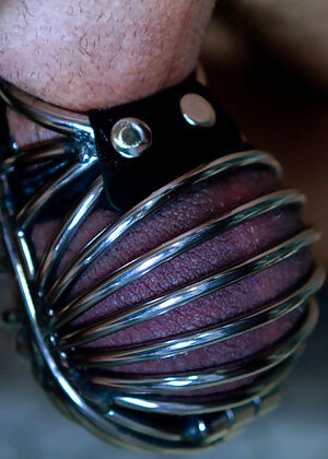 Divine Bitches #5 of 15