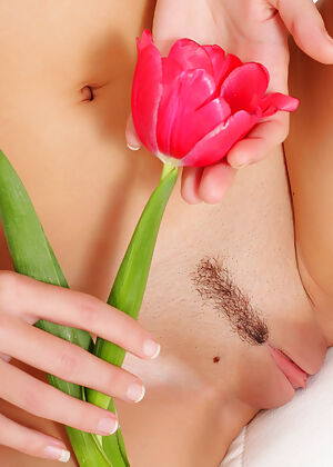 showy beauty #15 of 20